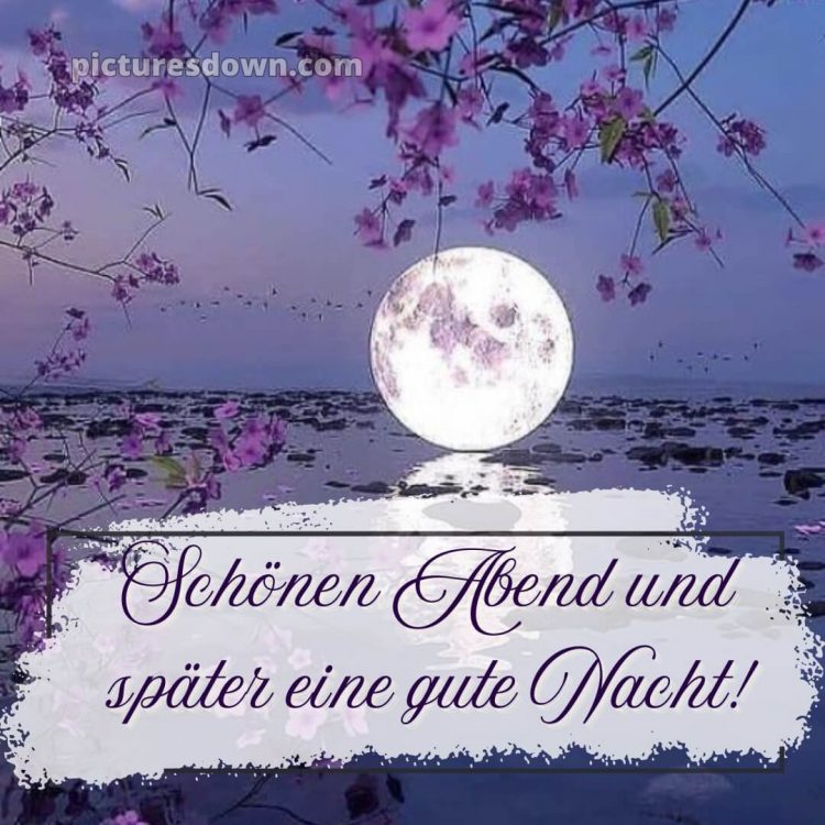 Schönen abend und später eine gute nacht bilder kostenlos whatsapp mittwoch bild Blüte kostenlos