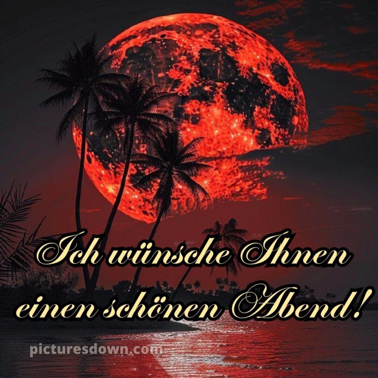 Schönen abend und später eine gute nacht bilder kostenlos whatsapp mittwoch bild Palmen kostenlos