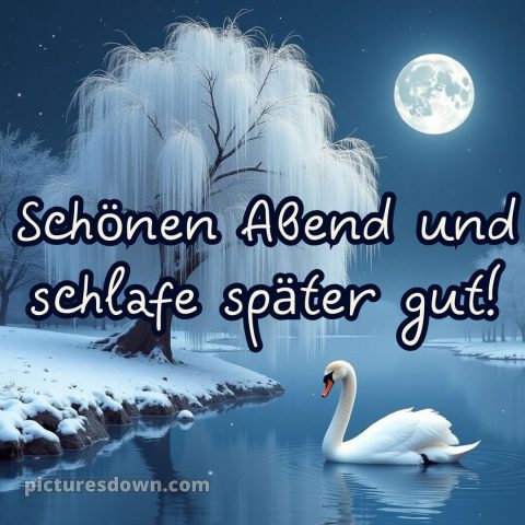 Schönen abend und später eine gute nacht bilder kostenlos whatsapp mittwoch bild Schwan kostenlos