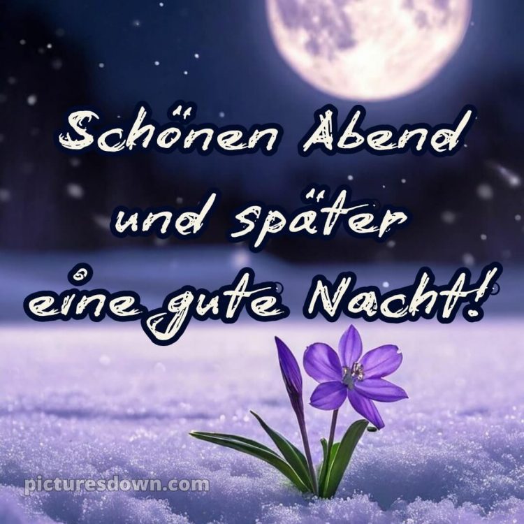 Schönen abend und später eine gute nacht bilder kostenlos whatsapp mittwoch bild Schnee kostenlos