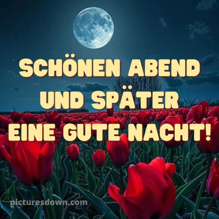 Schönen abend und später eine gute nacht bilder kostenlos whatsapp samstag bild Blumen kostenlos