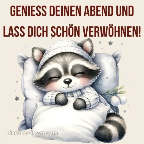 Schönen abend und später eine gute nacht bilder kostenlos whatsapp samstag bild Waschbär kostenlos