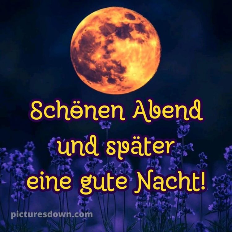 Schönen abend und später eine gute nacht bilder kostenlos whatsapp samstag bild Mond kostenlos