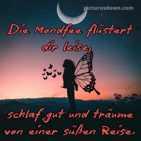 Süß gute nacht bilder für whatsapp bild Flügel kostenlos