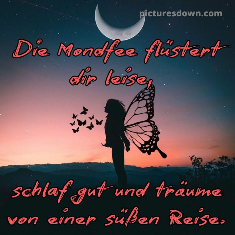Süß gute nacht bilder für whatsapp bild Flügel kostenlos