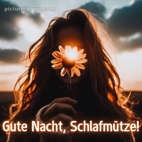 Whatsapp kostenlose gute nacht bilder kostenlos bild Blume kostenlos