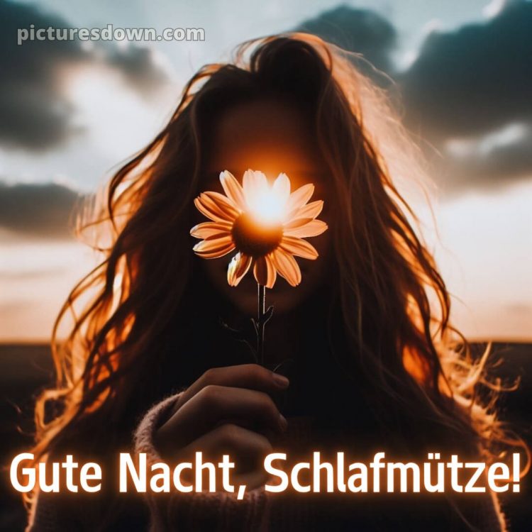 Whatsapp kostenlose gute nacht bilder kostenlos bild Blume kostenlos