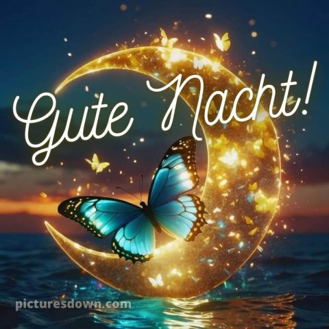 Whatsapp kostenlose gute nacht bilder kostenlos bild Schmetterling kostenlos