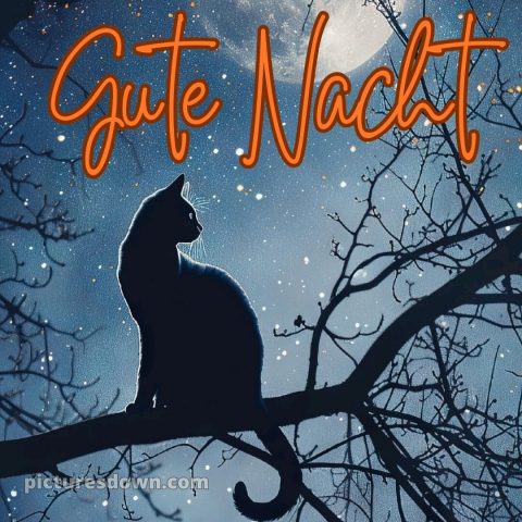 Whatsapp kostenlose gute nacht bilder kostenlos bild Zweigstelle kostenlos