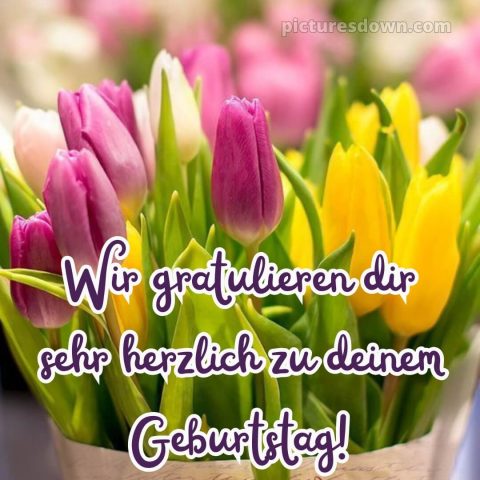 Geburtstag glückwünsche bild Tulpen kostenlos