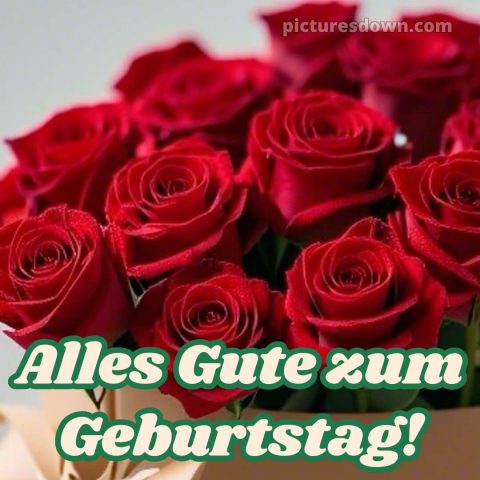 Glückwunsch zum geburtstag bild rote Rosen kostenlos