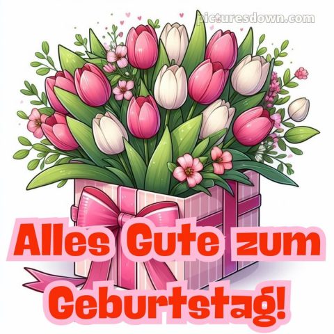 Glückwunsch zum geburtstag bild Box kostenlos