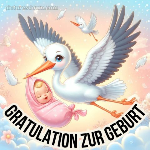 Glückwunsch zur geburt 1 bild Vogel kostenlos
