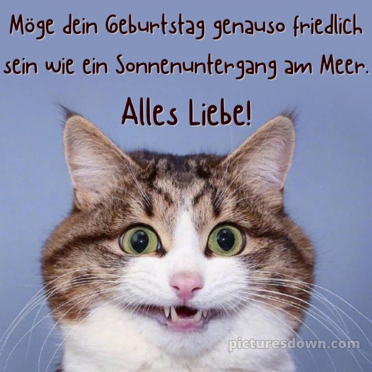 Kurze glückwünsche zum 50. geburtstag lustig bild Wunsch kostenlos