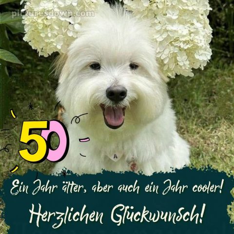 Kurze glückwünsche zum 50. geburtstag lustig bild Hund kostenlos