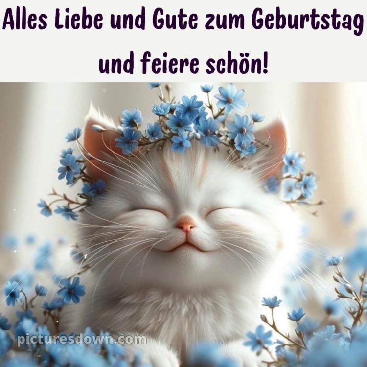 Kurze glückwünsche zum geburtstag bild Katze kostenlos