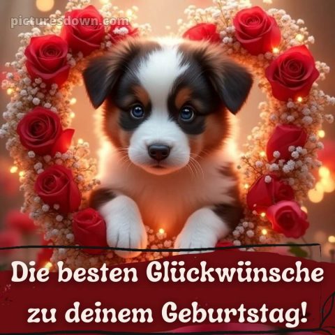 Kurze glückwünsche zum runden geburtstag bild Welpe kostenlos