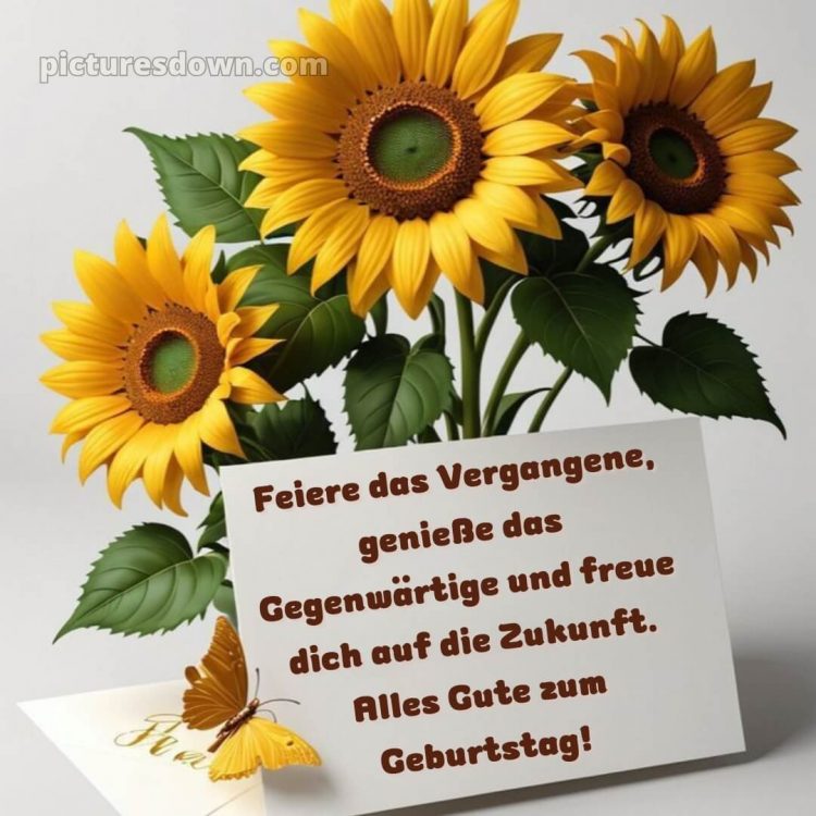 Kurze glückwünsche zum runden geburtstag bild Sonnenblumen kostenlos