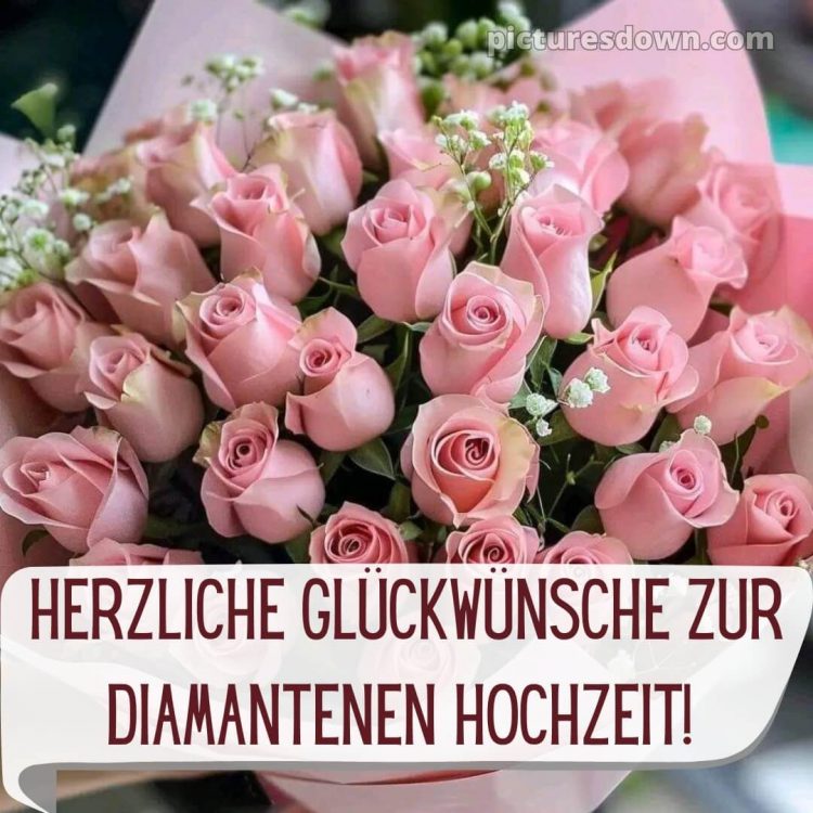 Kurze glückwünsche zur diamantenen hochzeit bild rosa Rosen kostenlos