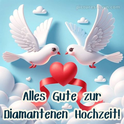 Kurze glückwünsche zur diamantenen hochzeit bild Tauben kostenlos