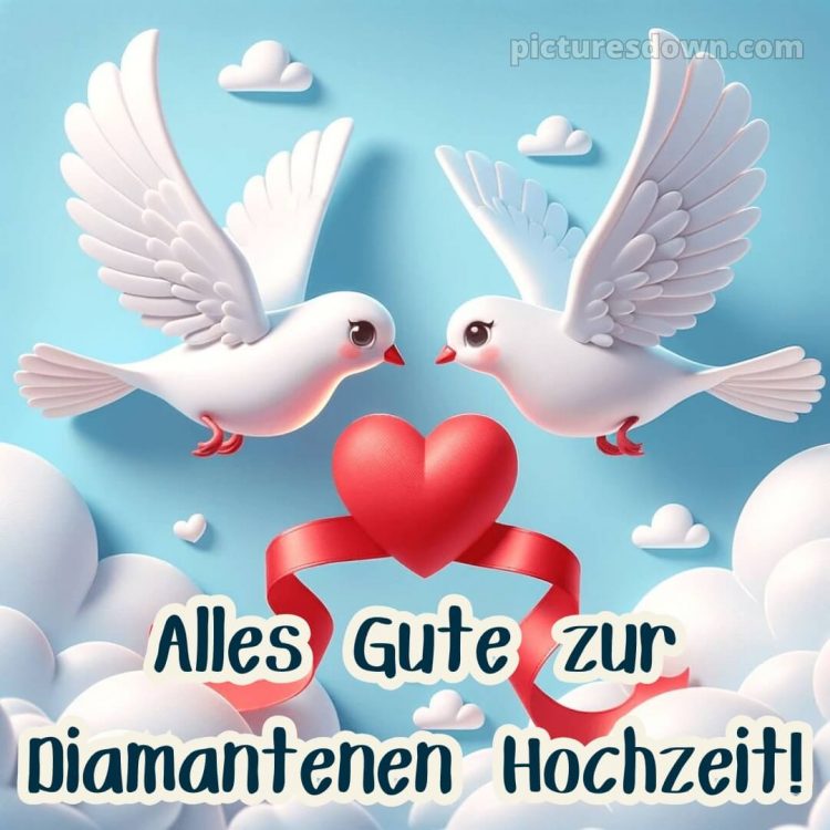 Kurze glückwünsche zur diamantenen hochzeit bild Tauben kostenlos