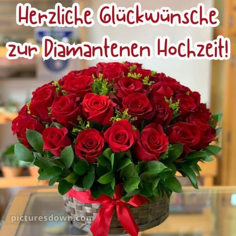 Kurze glückwünsche zur diamantenen hochzeit bild rote Rosen kostenlos