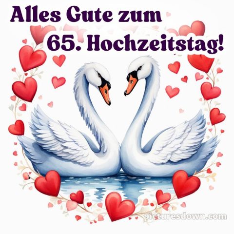 Kurze glückwünsche zur eisernen hochzeit bild Schwäne kostenlos