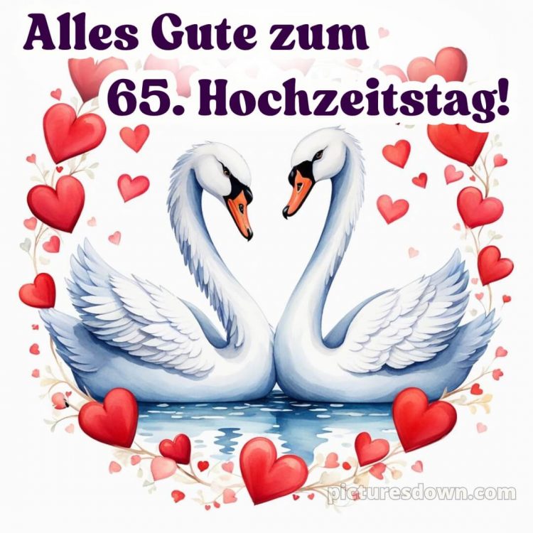 Kurze glückwünsche zur eisernen hochzeit bild Schwäne kostenlos