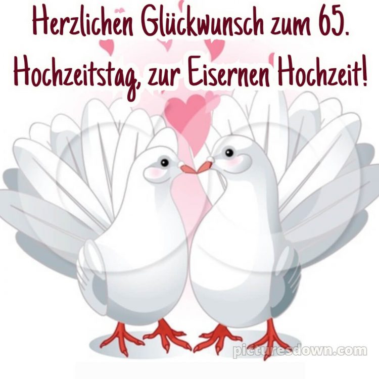 Kurze glückwünsche zur eisernen hochzeit bild Tauben kostenlos