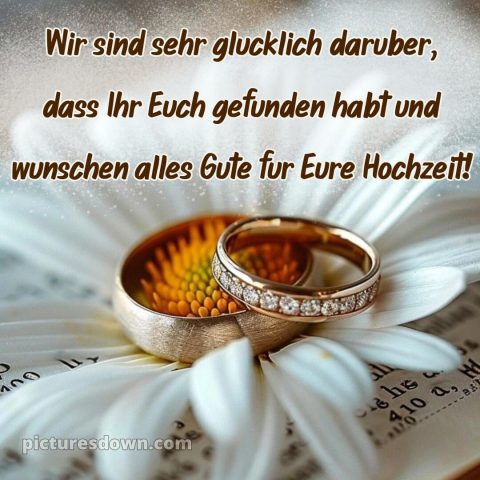 Kurze glückwünsche zur hochzeit bild Gänseblümchen kostenlos