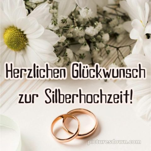 Kurze glückwünsche zur silberhochzeit bild Chrysantheme kostenlos