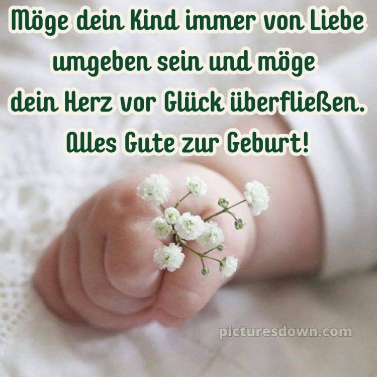 Liebevolle glückwünsche zur geburt bild Blume kostenlos