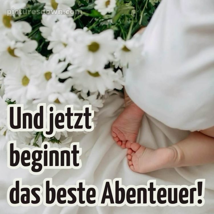 Persönliche glückwünsche zur geburt bild Chrysanthemen kostenlos