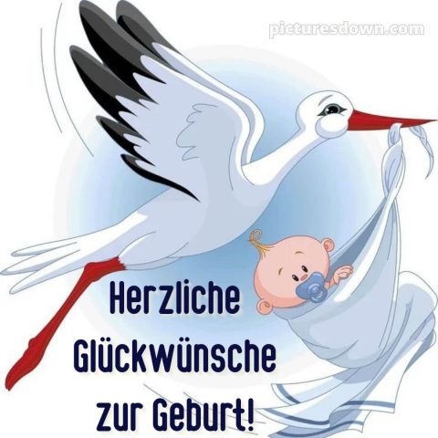 Baby Glückwünsche bild Vogel kostenlos