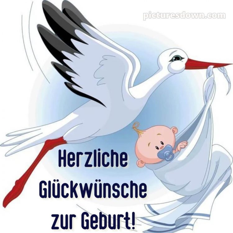 Baby Glückwünsche bild Vogel kostenlos