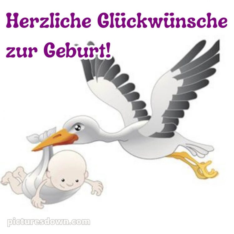 Baby Glückwünsche bild Storch kostenlos