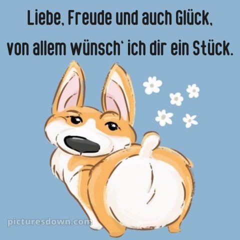 Coole geburtstagssprüche für jungs bild Blumen kostenlos