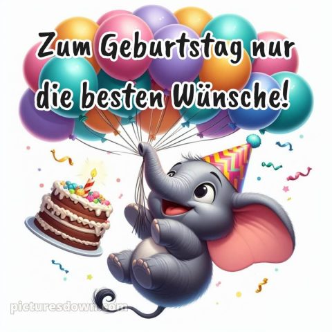 Coole geburtstagssprüche für jungs bild Elefant kostenlos