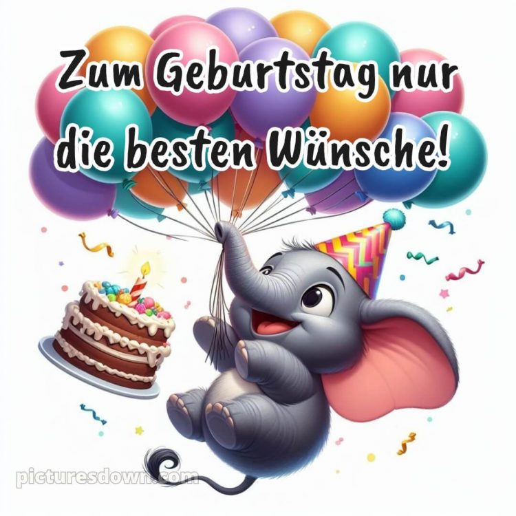 Coole geburtstagssprüche für jungs bild Elefant kostenlos