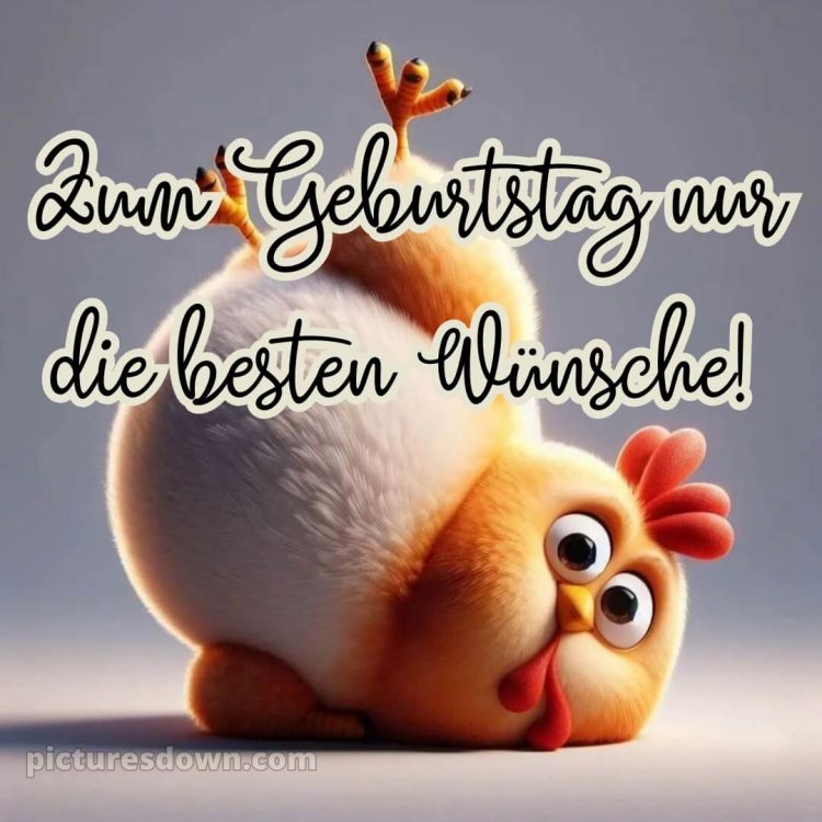 Coole geburtstagssprüche für jungs bild Hähnchen kostenlos