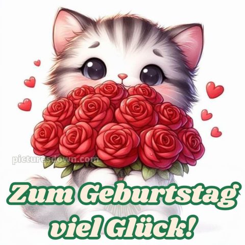 Geburtstag spruch bild Katze kostenlos