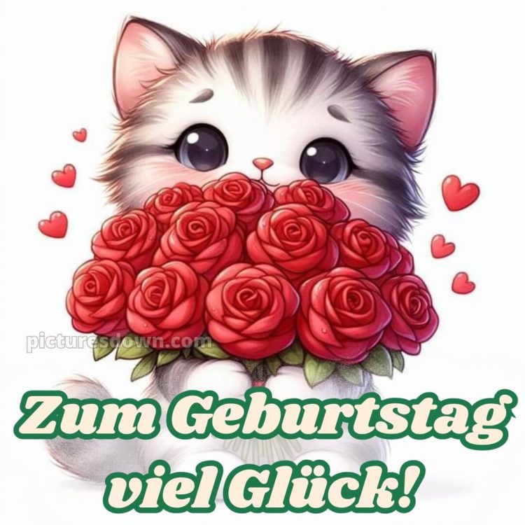 Geburtstag spruch bild Katze kostenlos