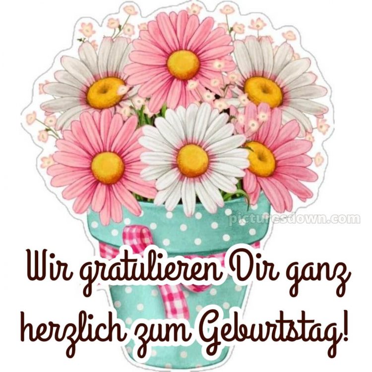 Geburtstag spruch bild Blumen kostenlos