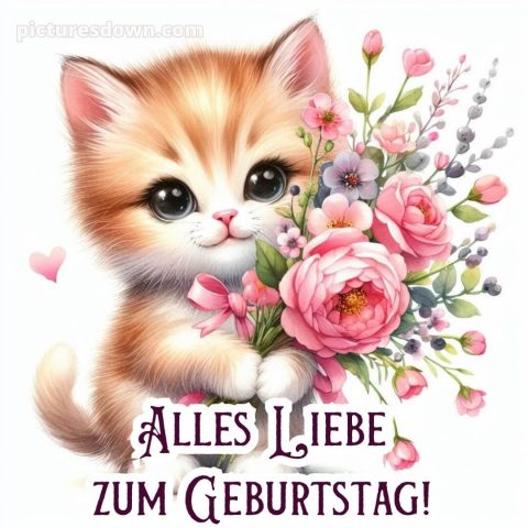 Geburtstagswünsche mädchen bild Kätzchen kostenlos