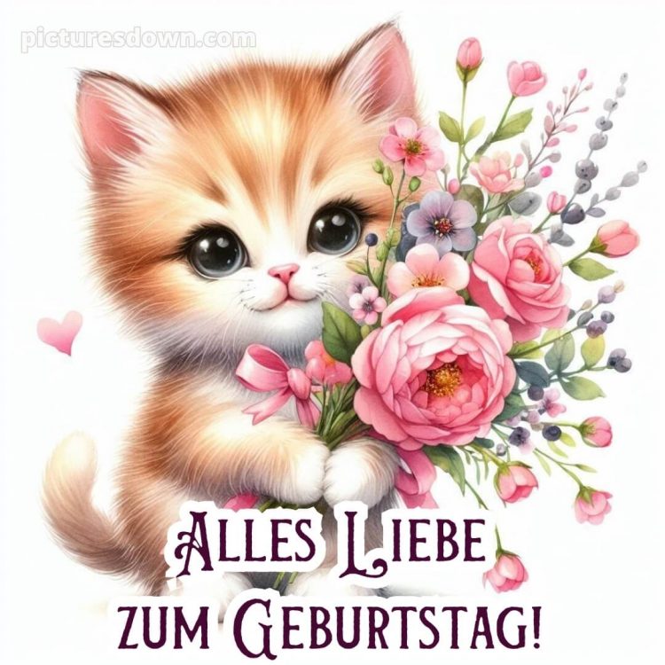 Geburtstagswünsche mädchen bild Kätzchen kostenlos