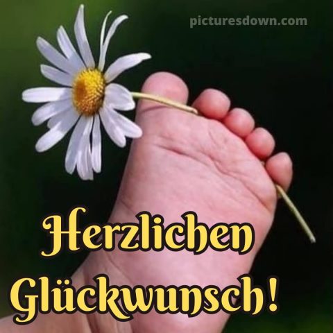 Glückwünsche geburt bild Kamille kostenlos
