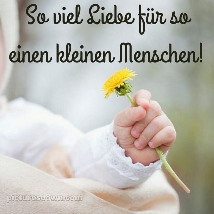 Glückwünsche geburt bild Löwenzahn kostenlos