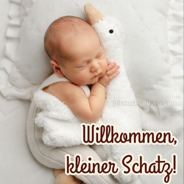 Glückwünsche zur geburt textvorschläge bild Gans kostenlos
