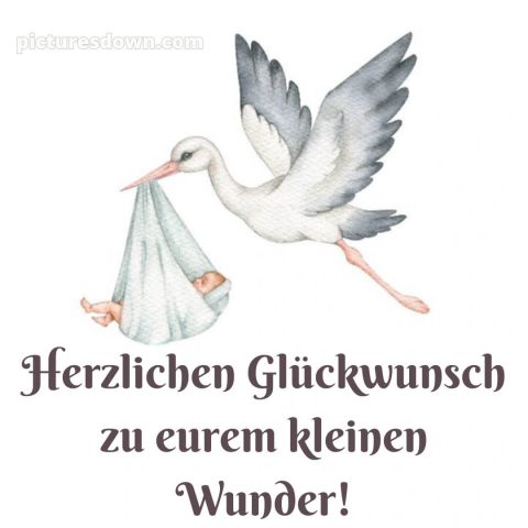 Glückwünsche zur geburt textvorschläge bild Vogel kostenlos