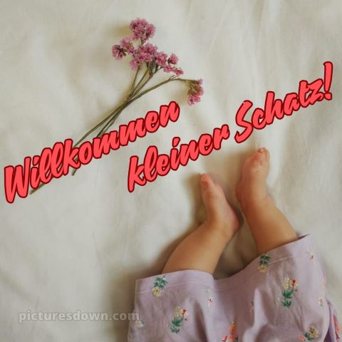 Glückwünsche zur geburt textvorschläge bild Beine kostenlos